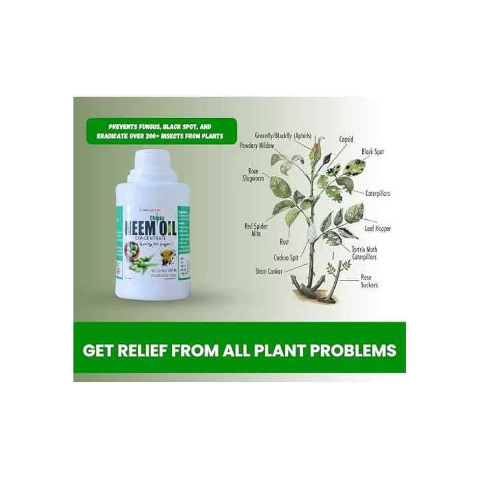 Chipku Pure Cold Pressed Water Soluble Neem Oil 250Ml With Free Spray Gun Concentrate For Plants