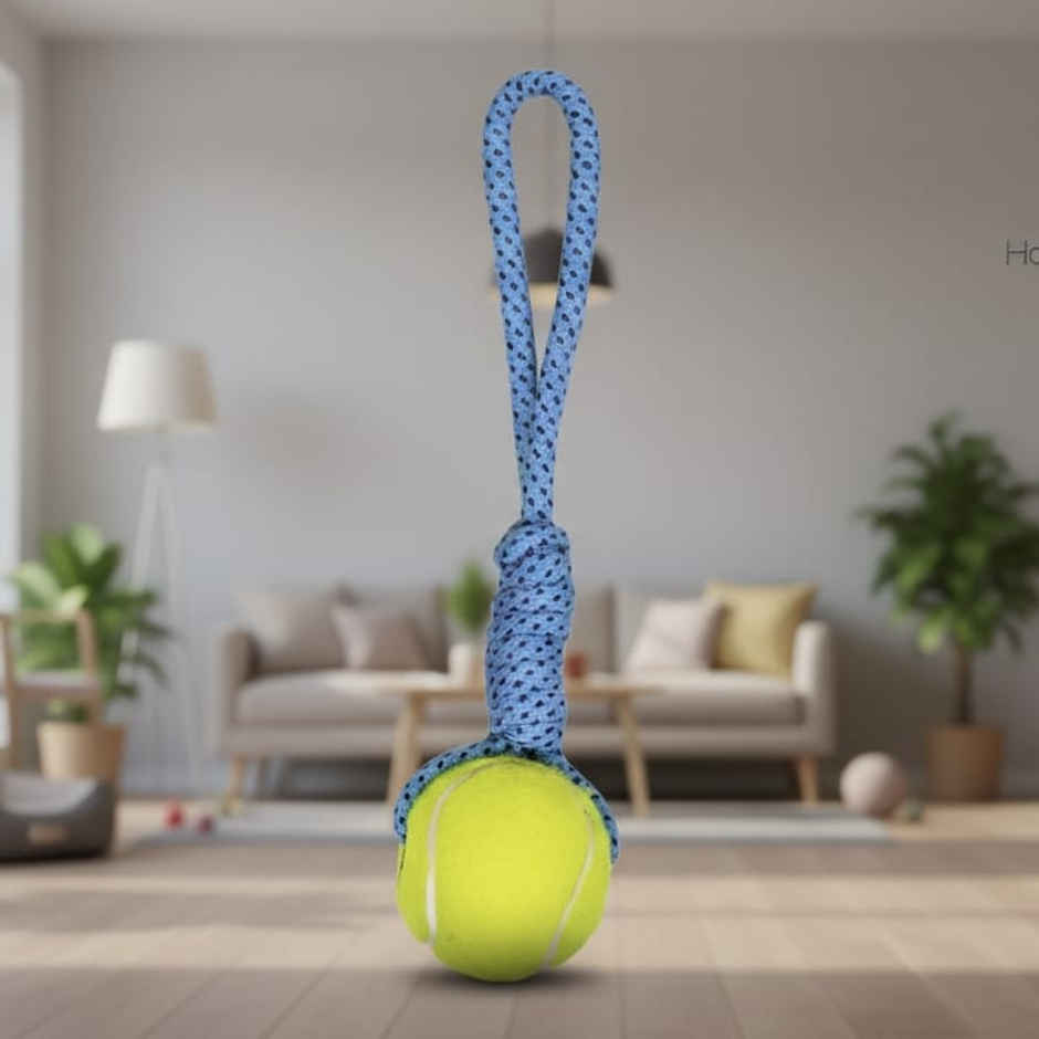Super Pet Throw & Pull Ball Dog Toy Large | Yellow & Sky Blue)