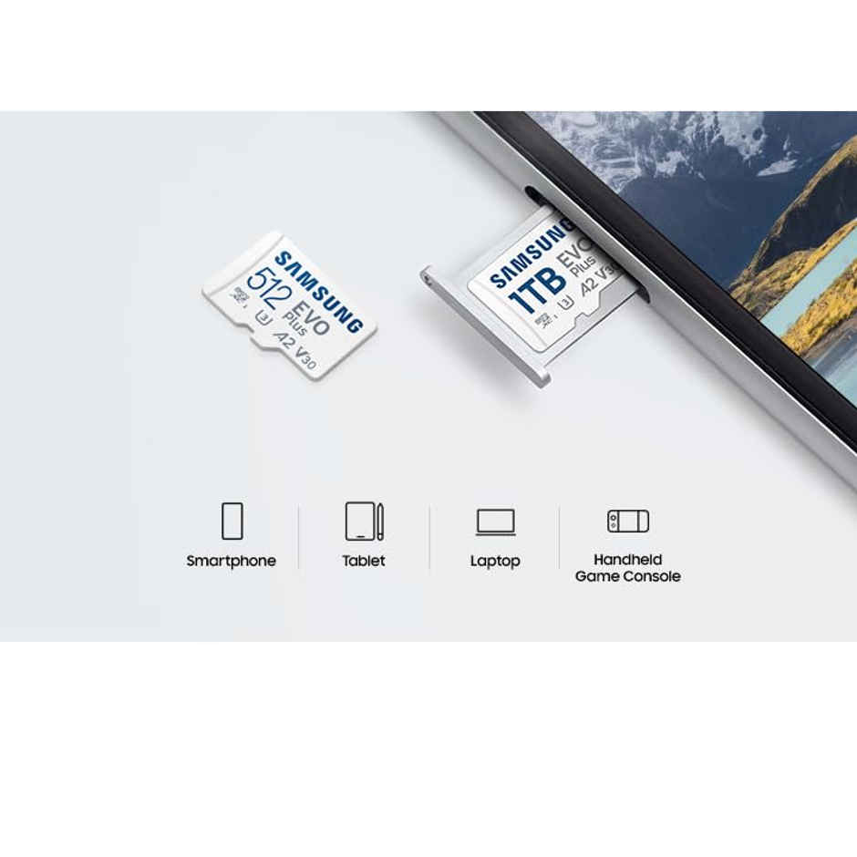 Samsung Evo Plus 256Gb Memory Card, Mb-Mc256Sa, In