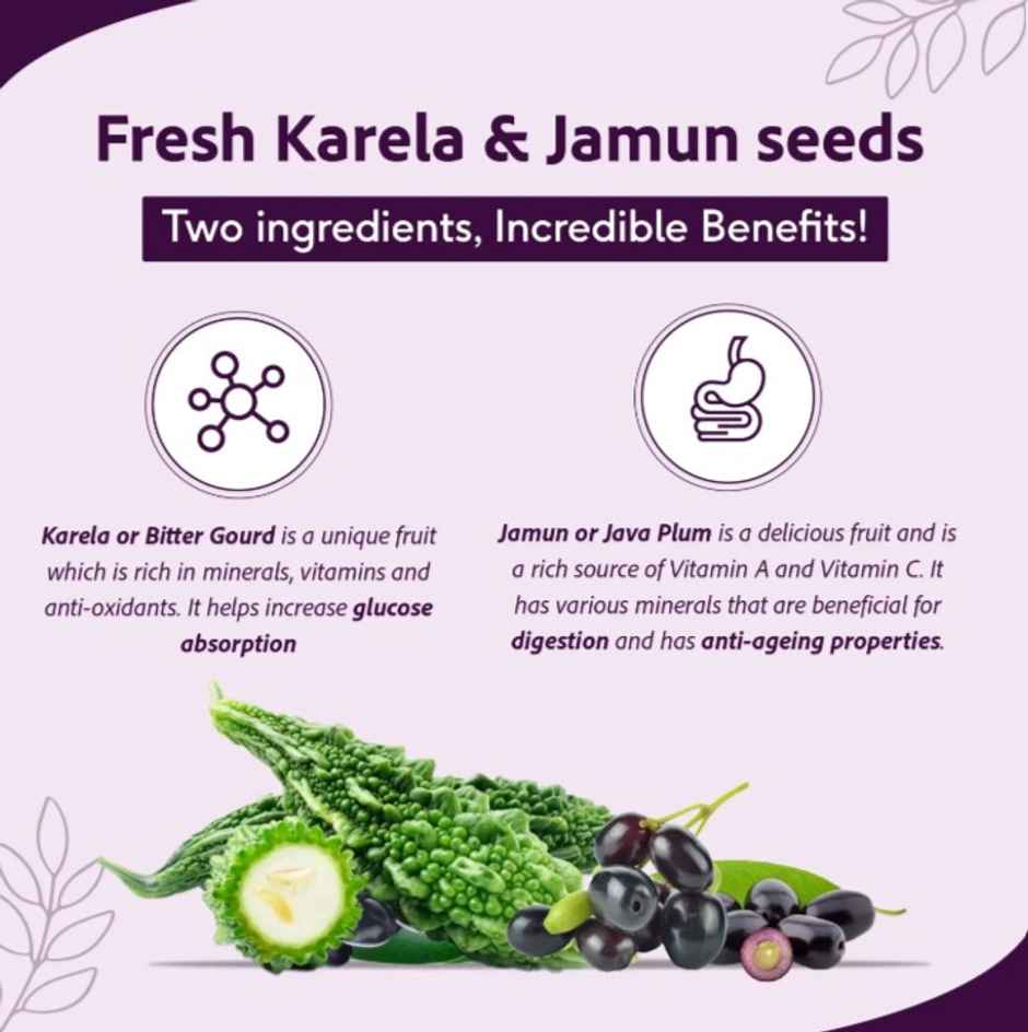 Sri Sri Tattva Karela Jamun Juice 500mL