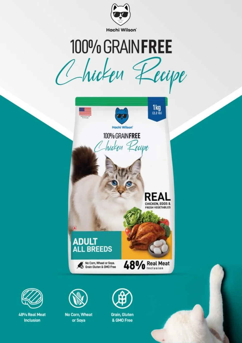 Hachi Wilson Premium Cat Food | Grain-Free | High-Protein | Real Chicken & Eggs | USFDA Approved