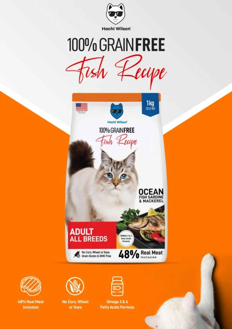 Hachi Wilson Premium Cat Food | Grain-Free | High-Protein | Ocean Fish Sardine & Mackerel | USFDA Approved