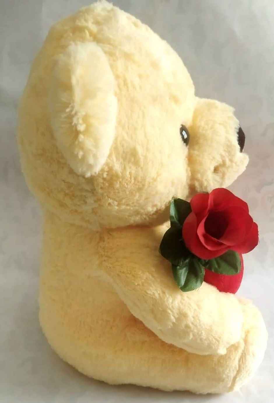 Sterling Hug Me Teddy | 30 Cm - Assorted Colour & Design