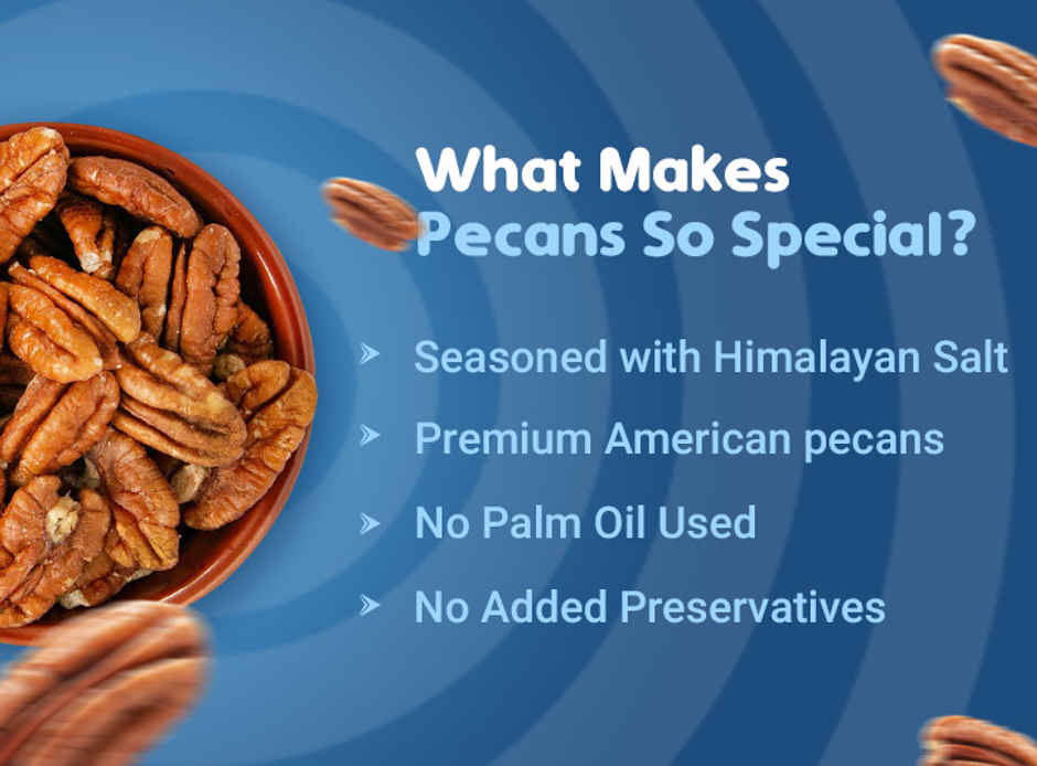 Nutraj Snackrite Premium Golden Roast Pecan