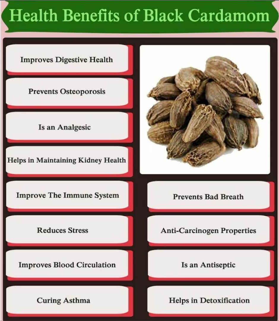 Popular Essentials Black Cardamom/Elaichi