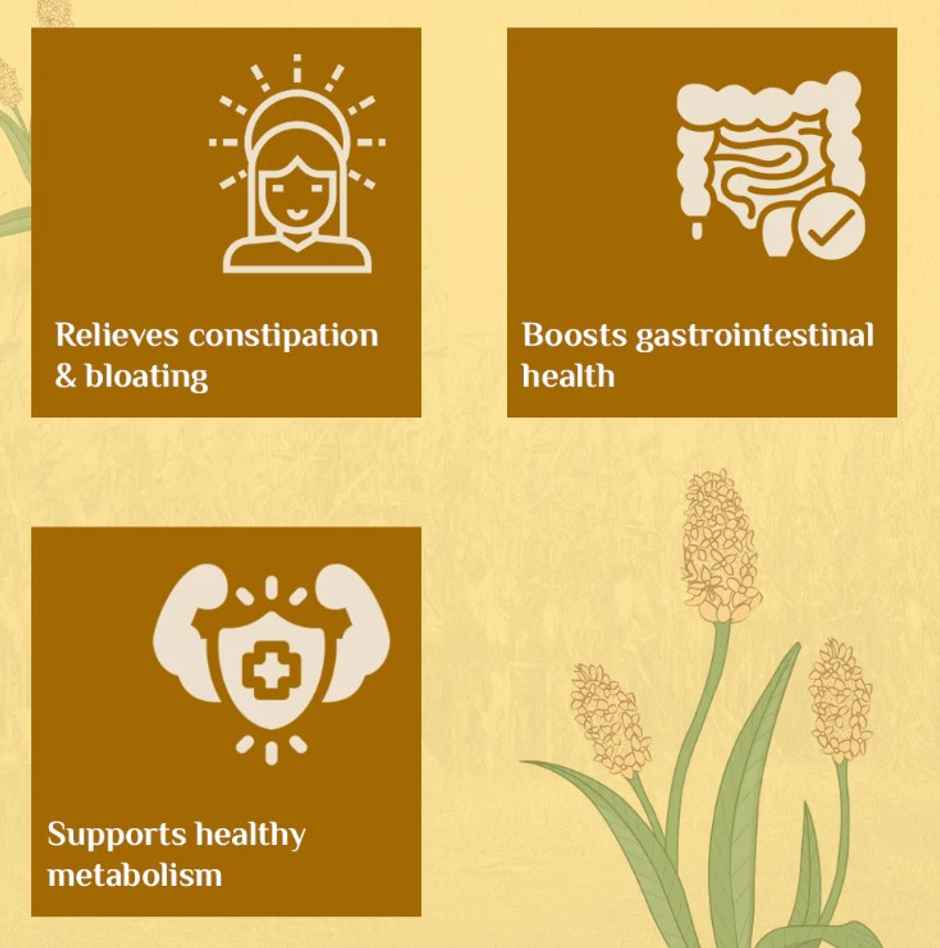 Organic India Whole Husk Psyllium Organic Isabgol Powder