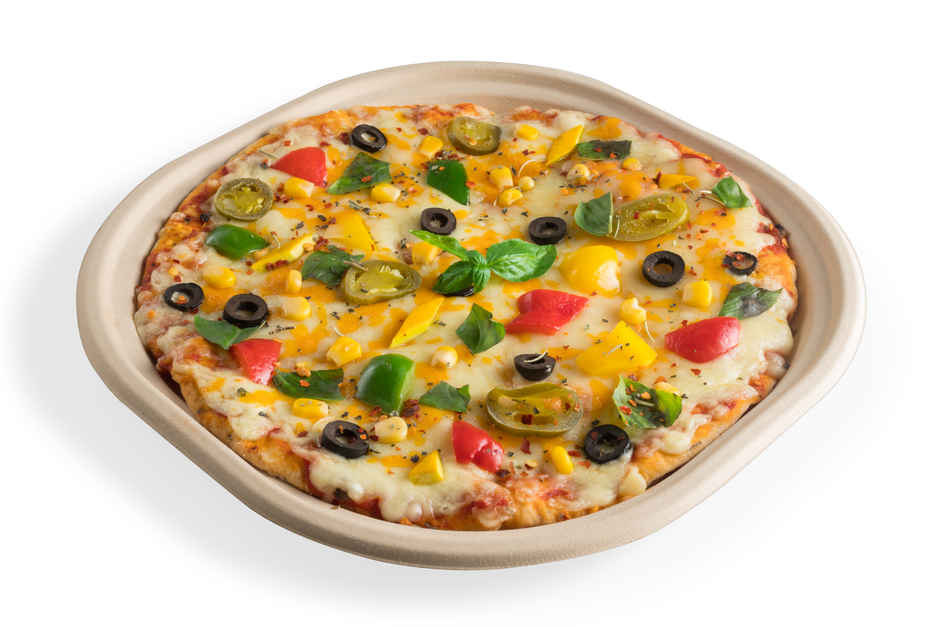 Chuk Eco-friendly Disposable Plate 10 inch