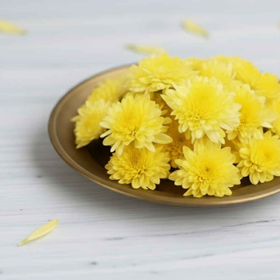 Chrysanthemum Flower Yellow Combo  
