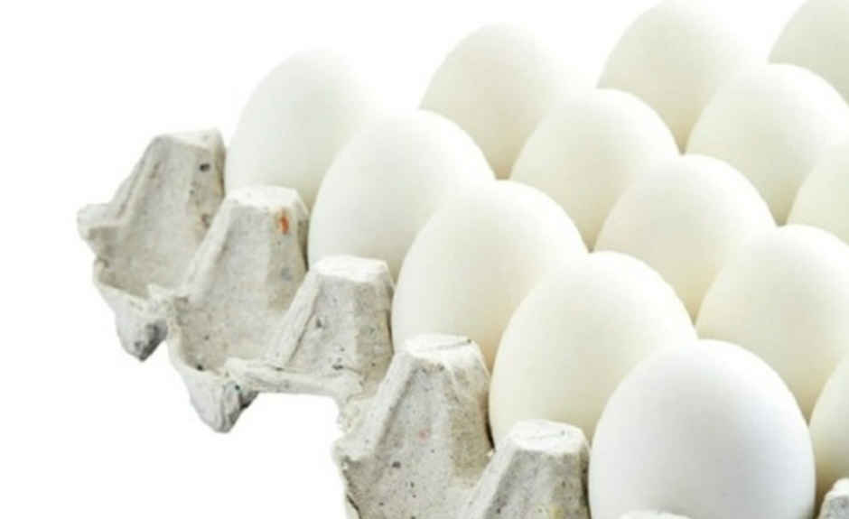 Vijay White Eggs