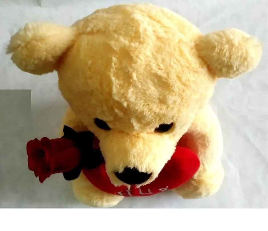 Sterling Hug Me Teddy | 30 Cm - Assorted Colour & Design