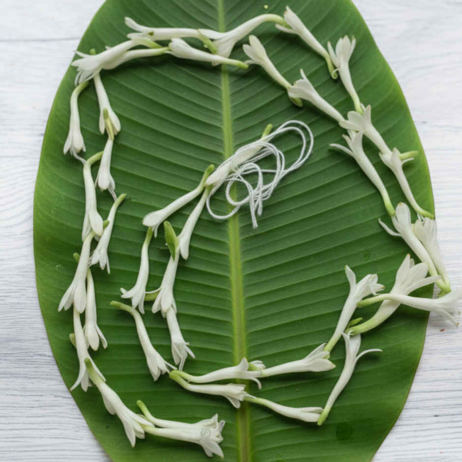 Rajnigandha Flower String Combo