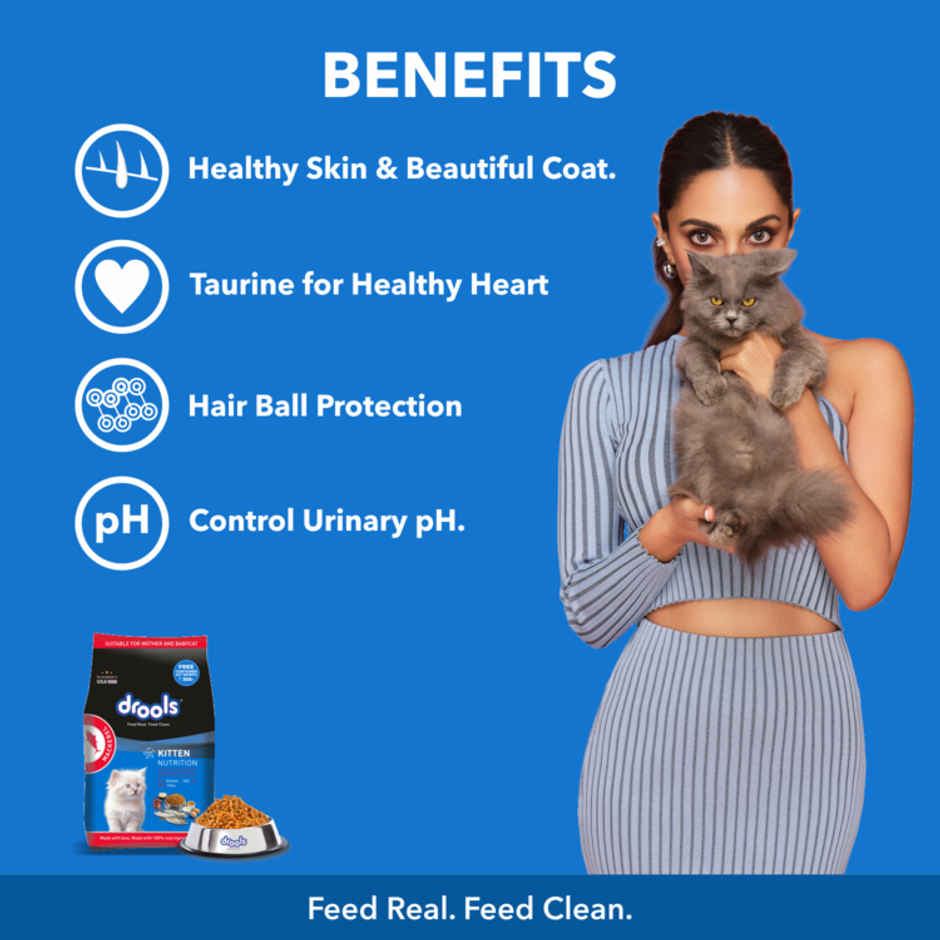Drools Kitten | 1-12 Months Dry Cat Food, Mackerl, With Free Container