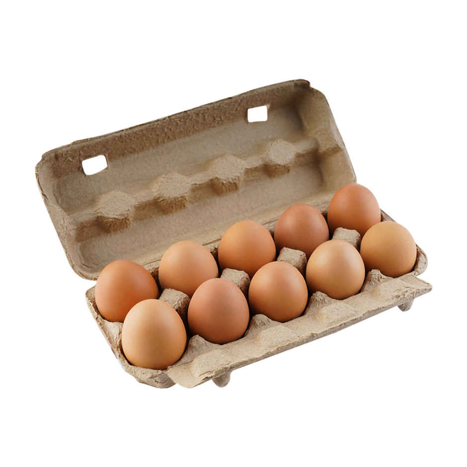 Relish Brown Eggs - Pack of 10