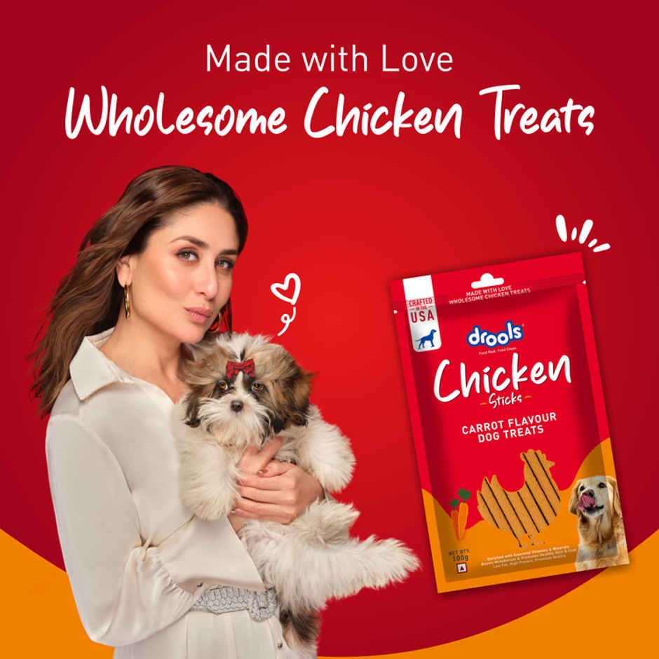 Drools Real Chicken Flavor Dog Treats Sticks