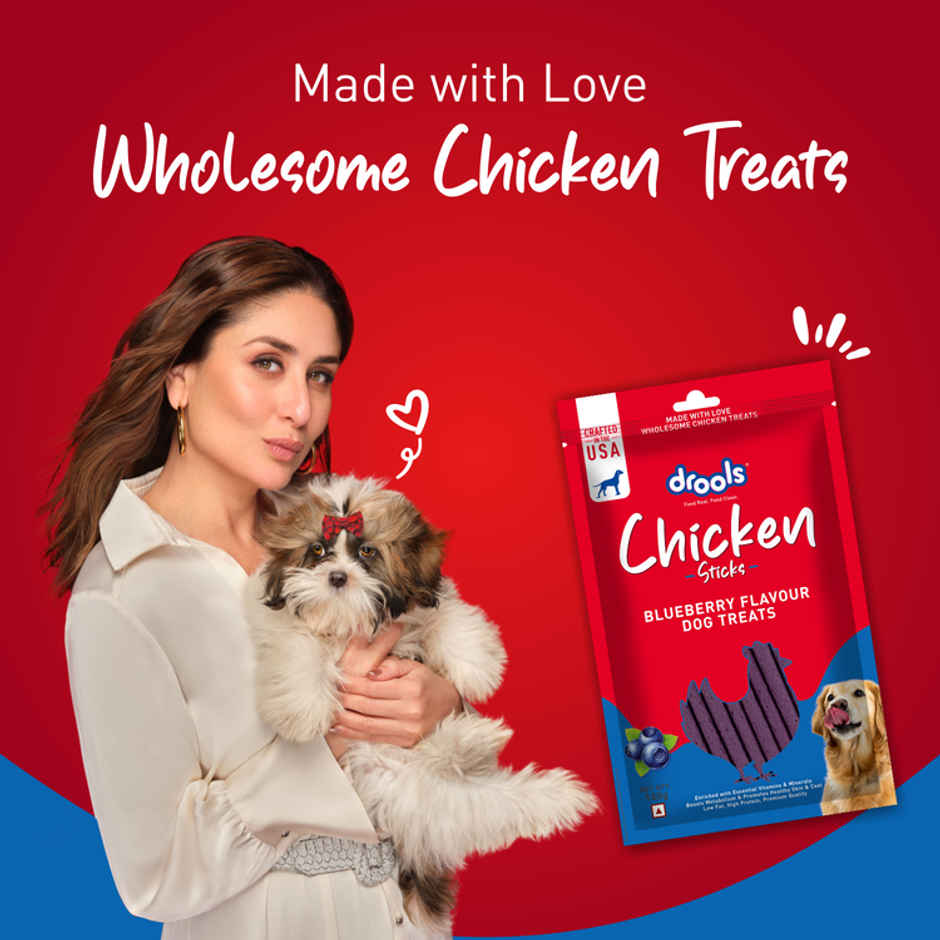 Drools Chicken Blueberry Flavor Dog Treats Sticks