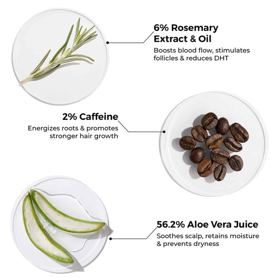 Brillare Rosemary Shampoo
