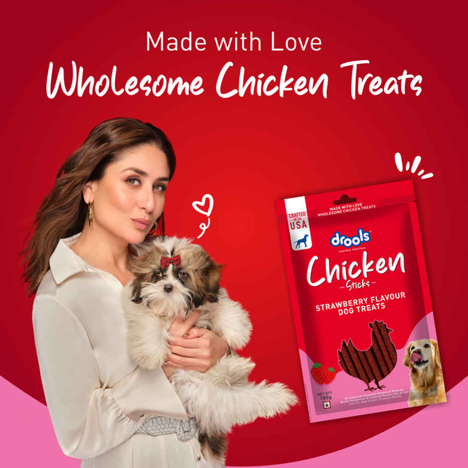 Drools Chicken Strawberry Flavor Dog Treats Sticks