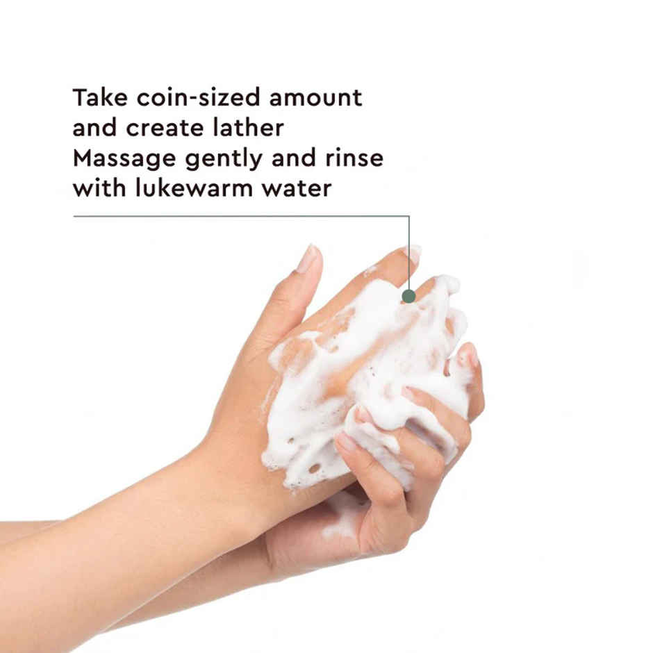 The Face Shop Tea Tree Pore Clarifying Gel Cleanser with Salicylic Acid++, AHA, PHA