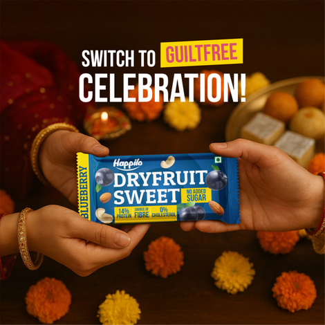 Happilo Premium Blueberries Healthy Dry Fruit Bar