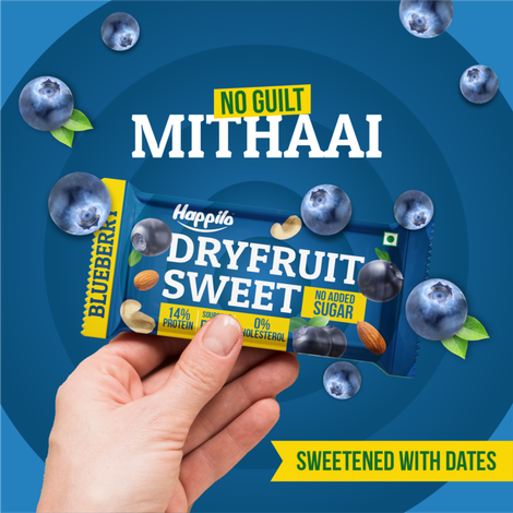 Happilo Premium Blueberries Healthy Dry Fruit Bar