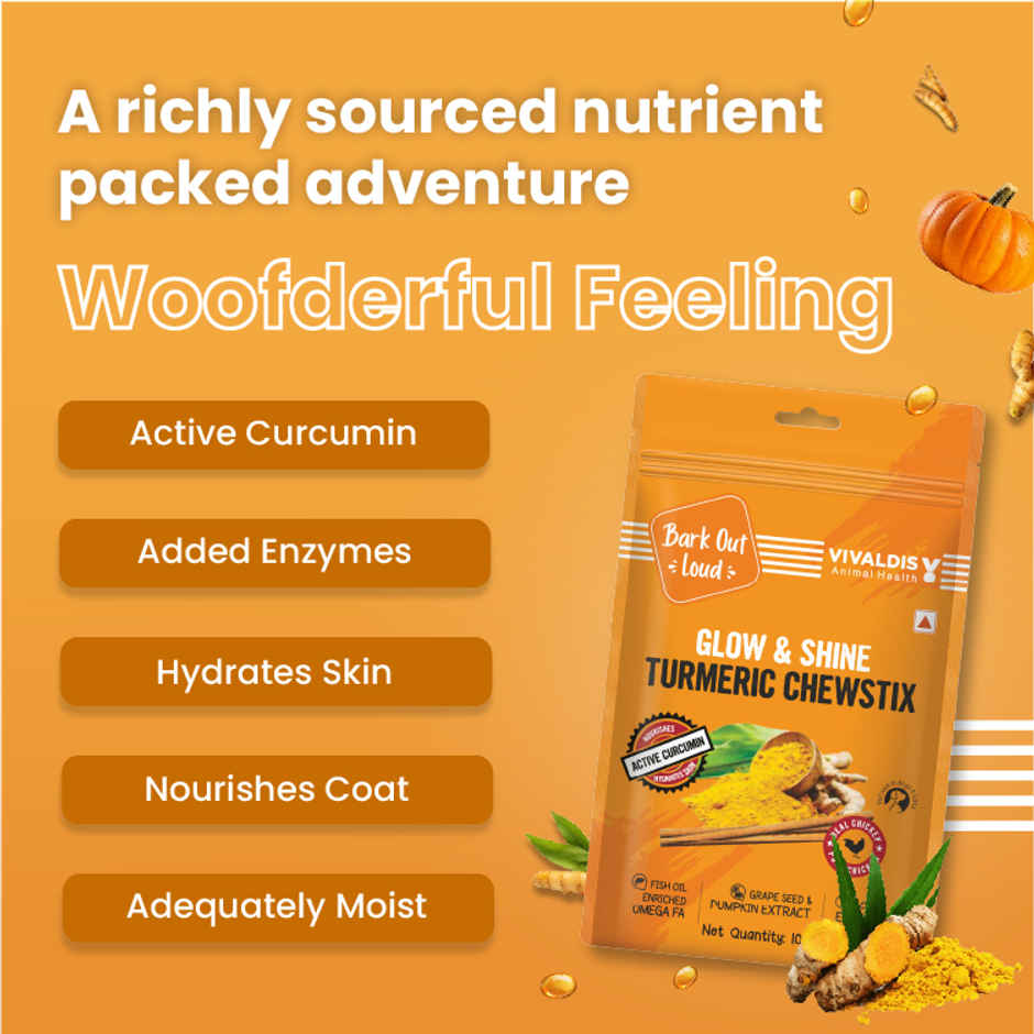 Bark Out Loud Dog Treats - Turmeric Chewstix with Fresh Chicken, Pumpkin & Grape Seed Extract