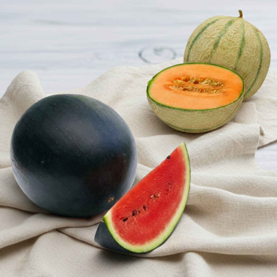 Mast melon