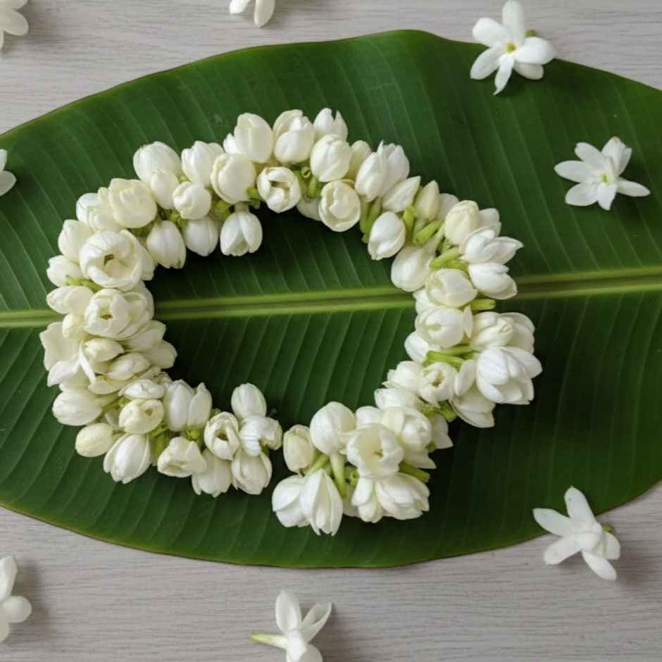 Jasmine String (Gajra)