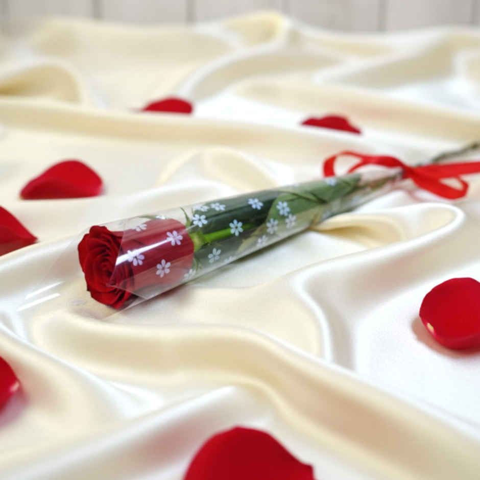 Single Rose Combo