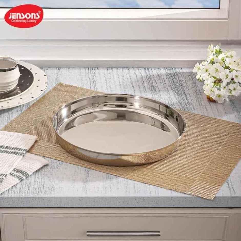 Jensons Stainless Steel Dinner Plate 25 cm | Heavy Gauge Serving Plate