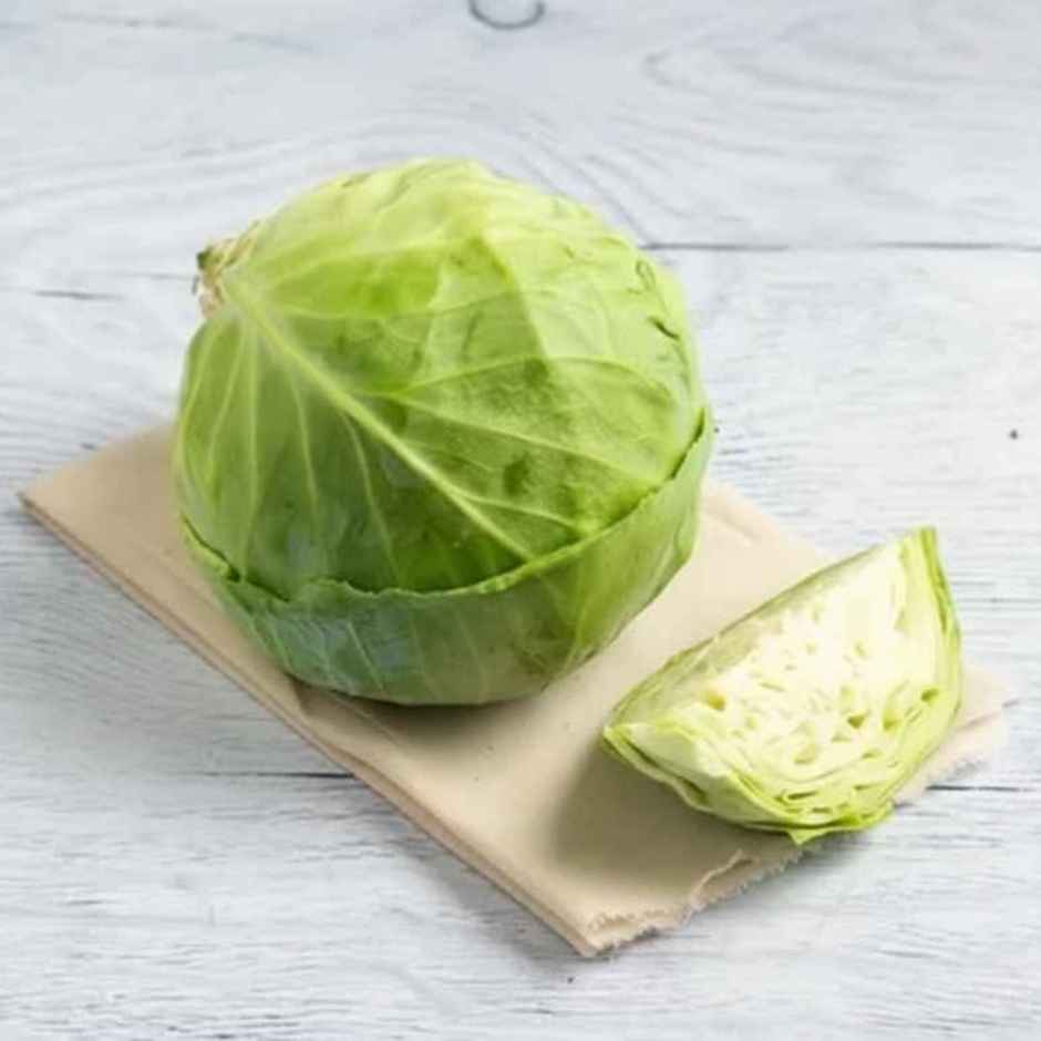 Cabbage