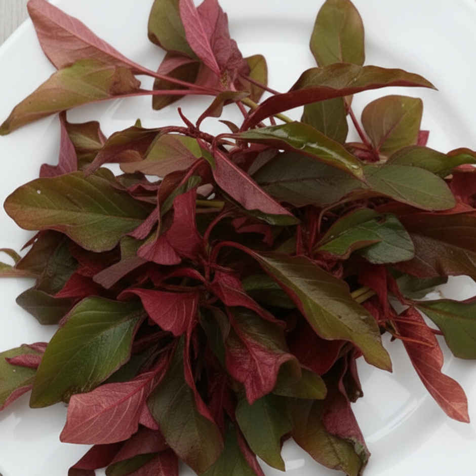 Spinach Red Ponnanganni - Cleaned, without roots