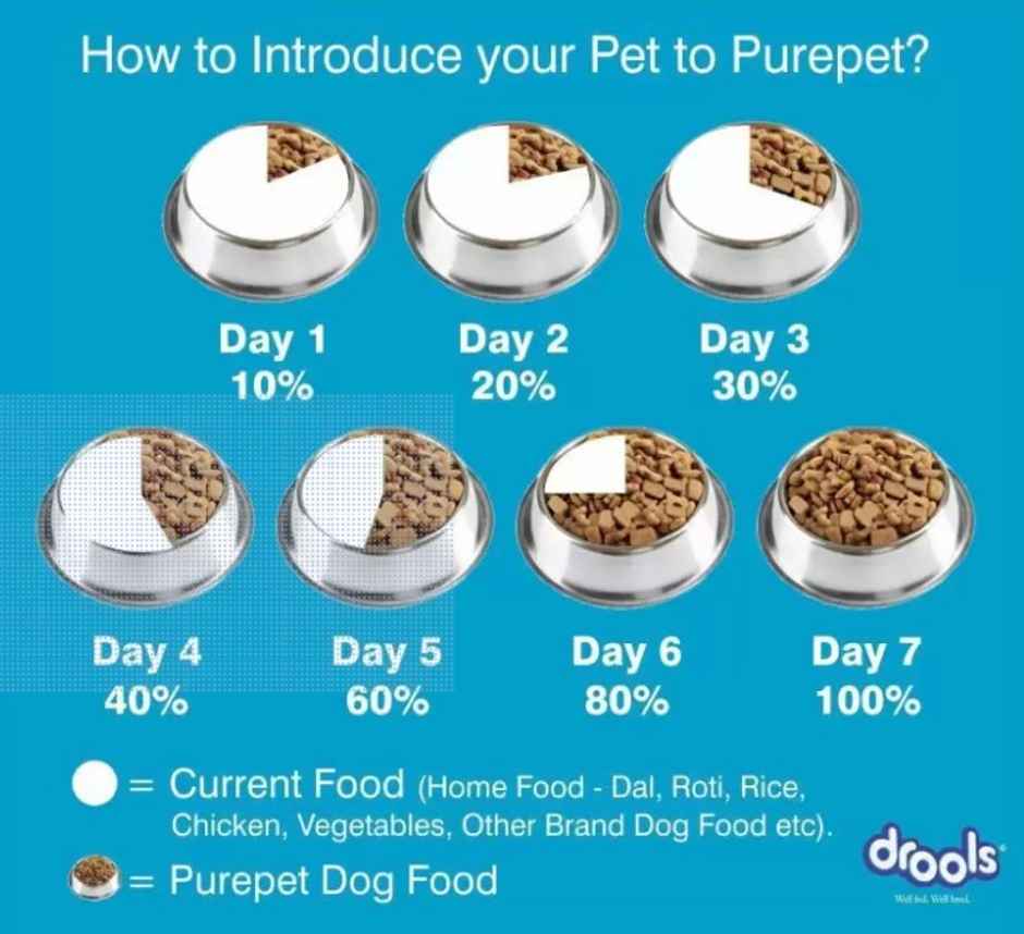Purepet Chicken | VEG Adult Dog FOOD