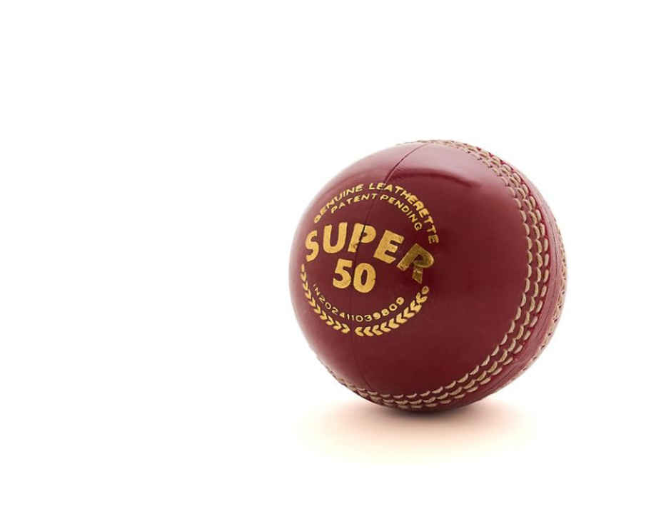 SG Leather Cricket Ball Super 50 | Red