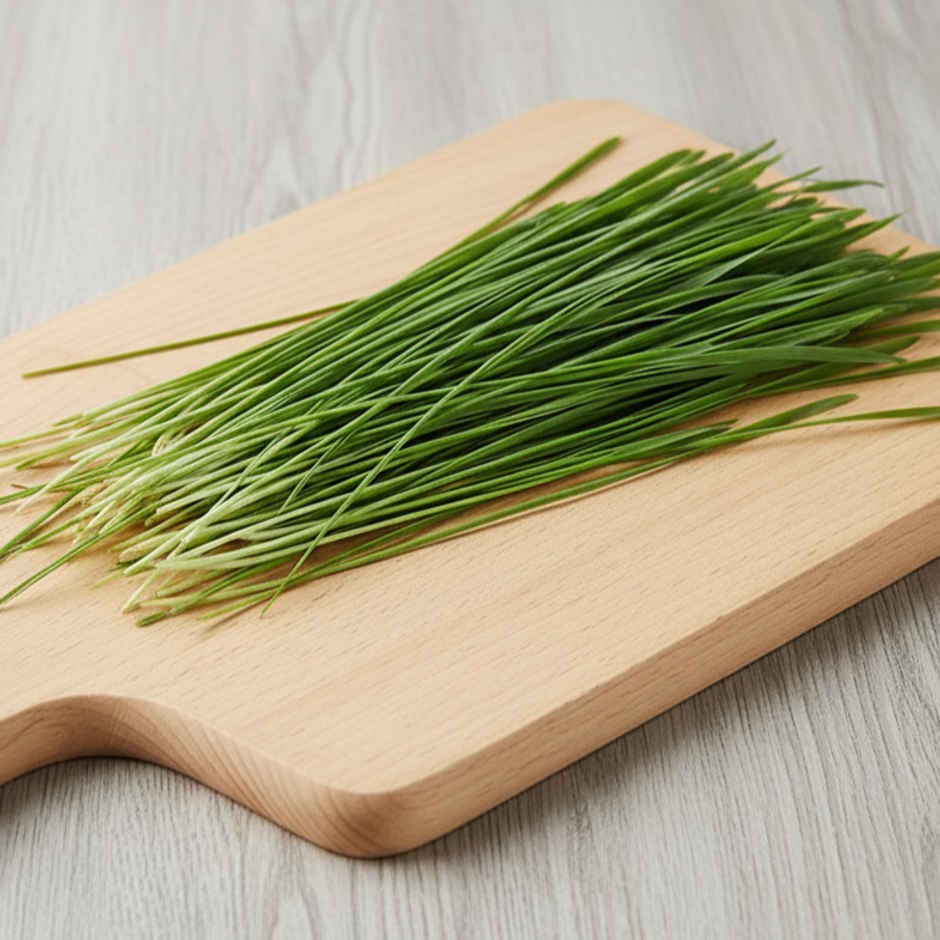 Wheatgrass