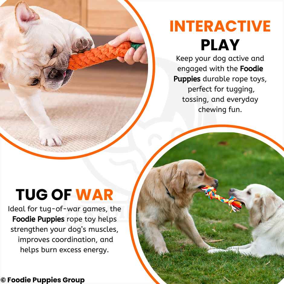 Foodie Puppies 3 in 1 Cotton Rope Chew Toy Combo for Small Dogs and Puppies
