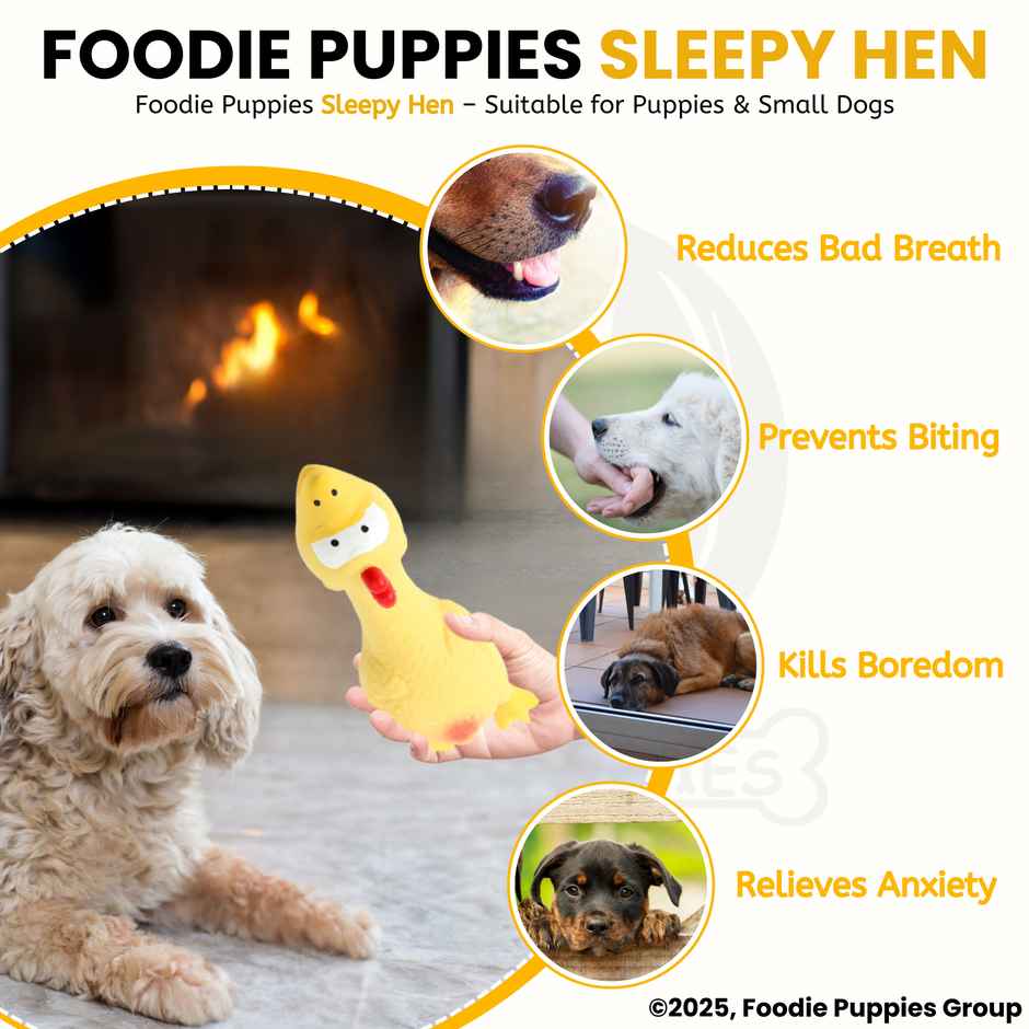 Foodie Puppies Latex Yellow Sleepy Hen Squeaky Dog Toy for Small Dogs and Puppies
