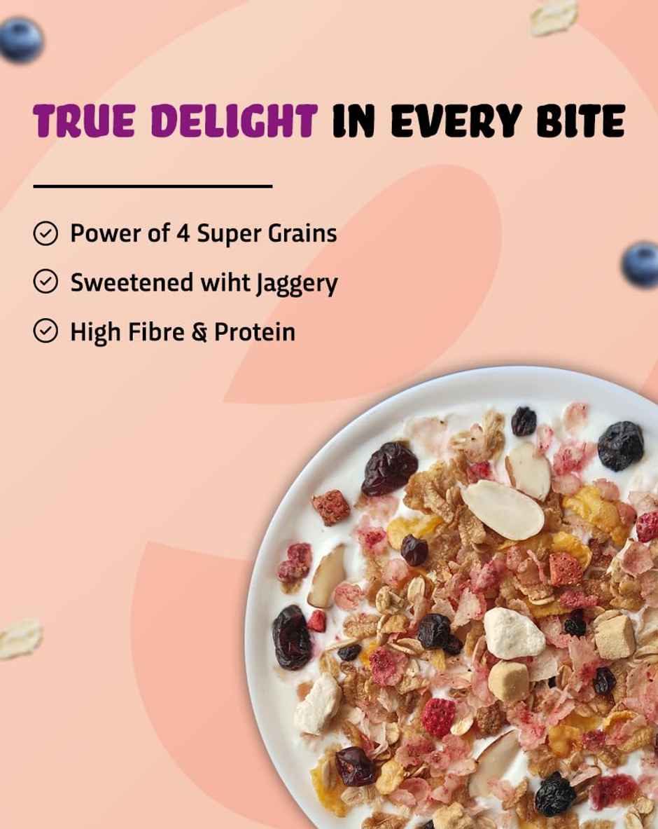 True Elements Muesli Fruity Delight Fruit and Nut Muesli