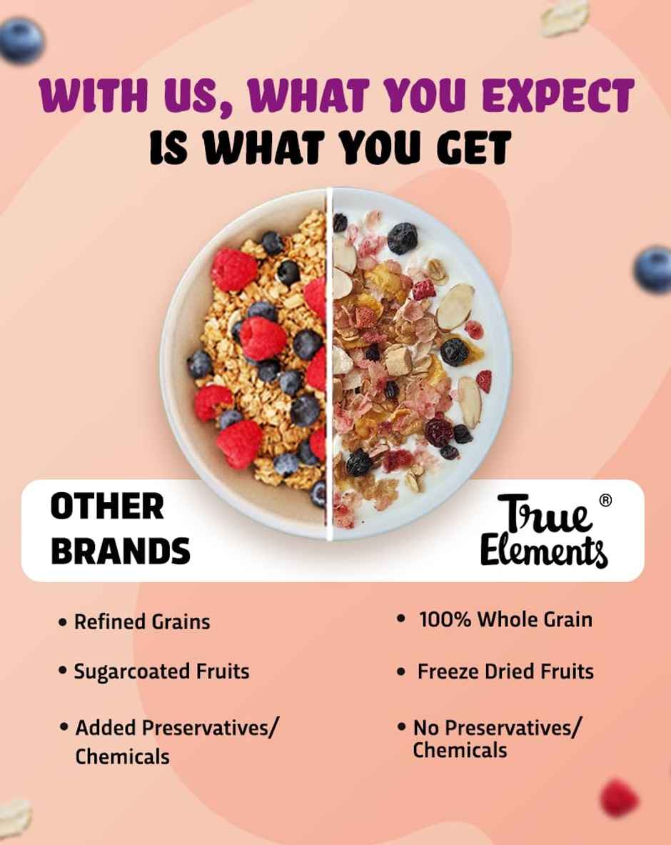 True Elements Muesli Fruity Delight Fruit and Nut Muesli