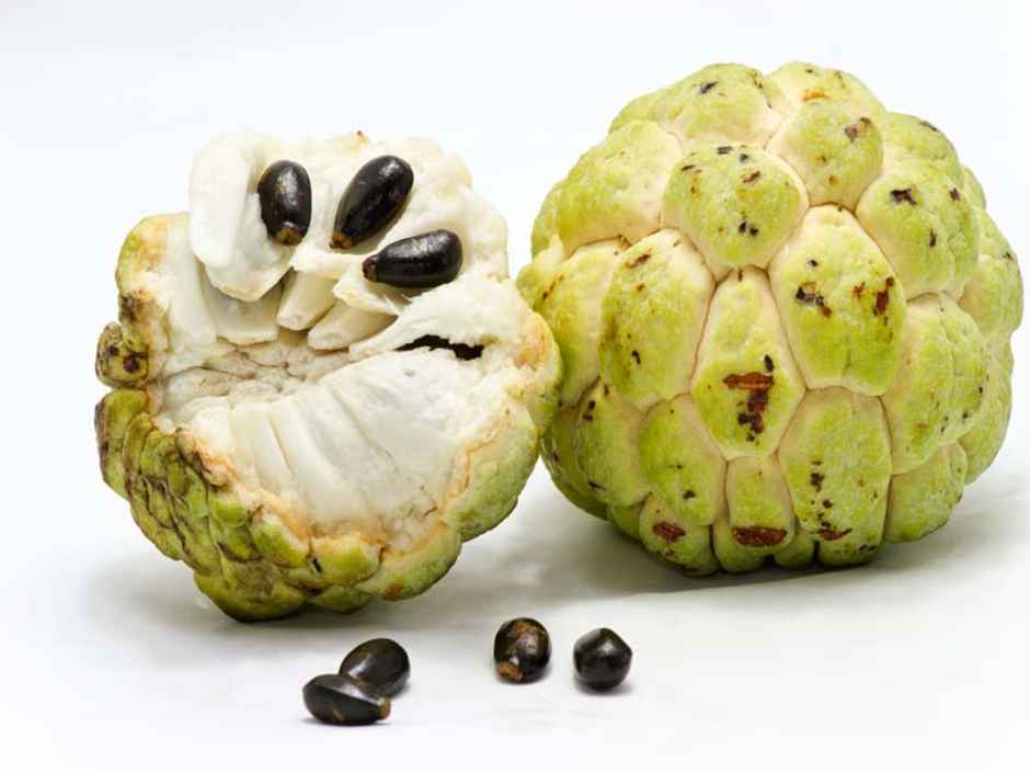 Custard Apple (Seethapalam) Semi Ripe