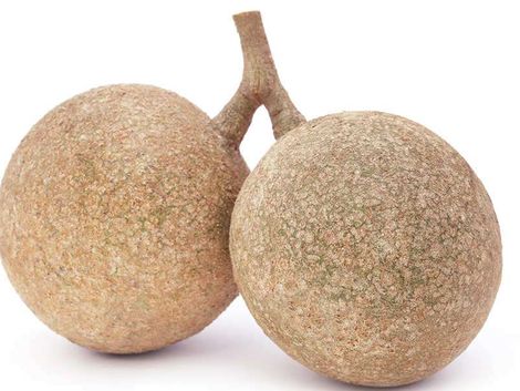 Wood Apple