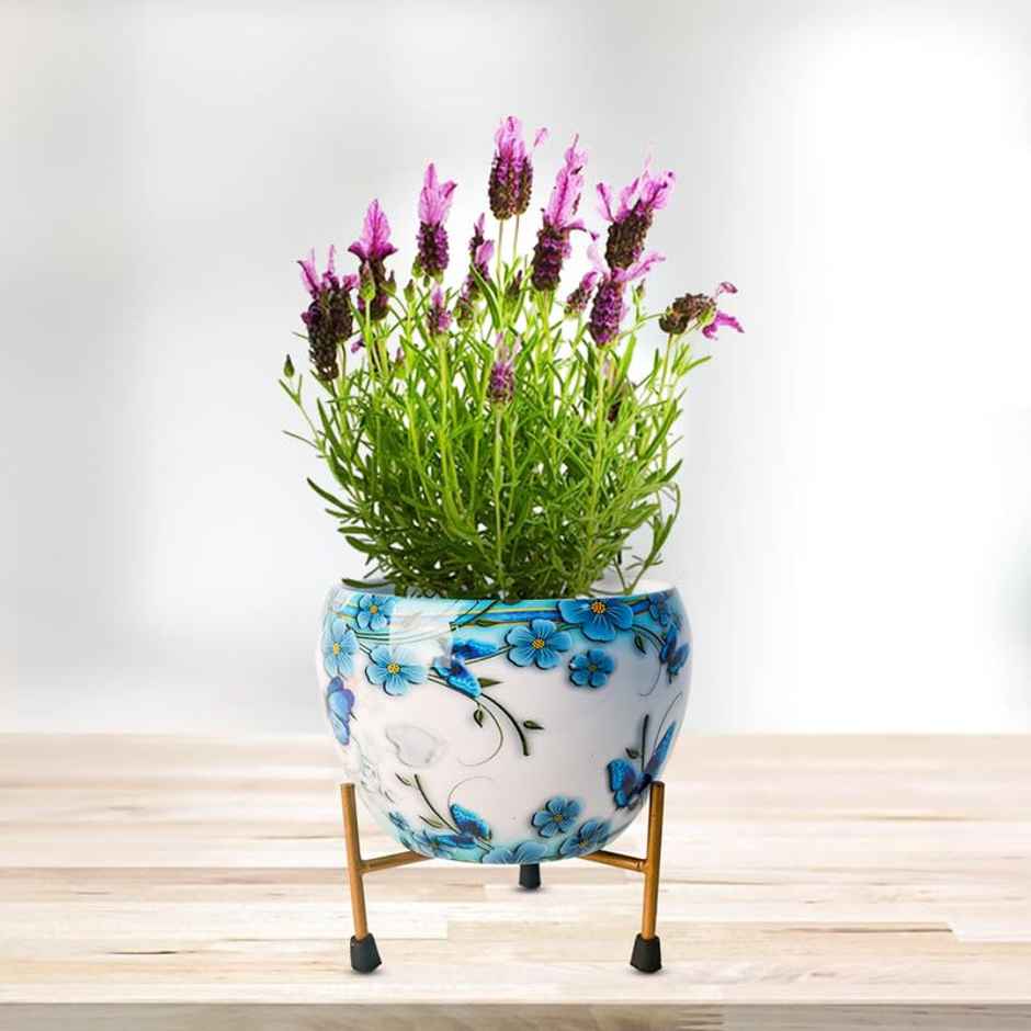 Peng Essentials Reva Home Decor Vase With Stand I Desktop, Bedroom Corner Table, Home Decor Centepc