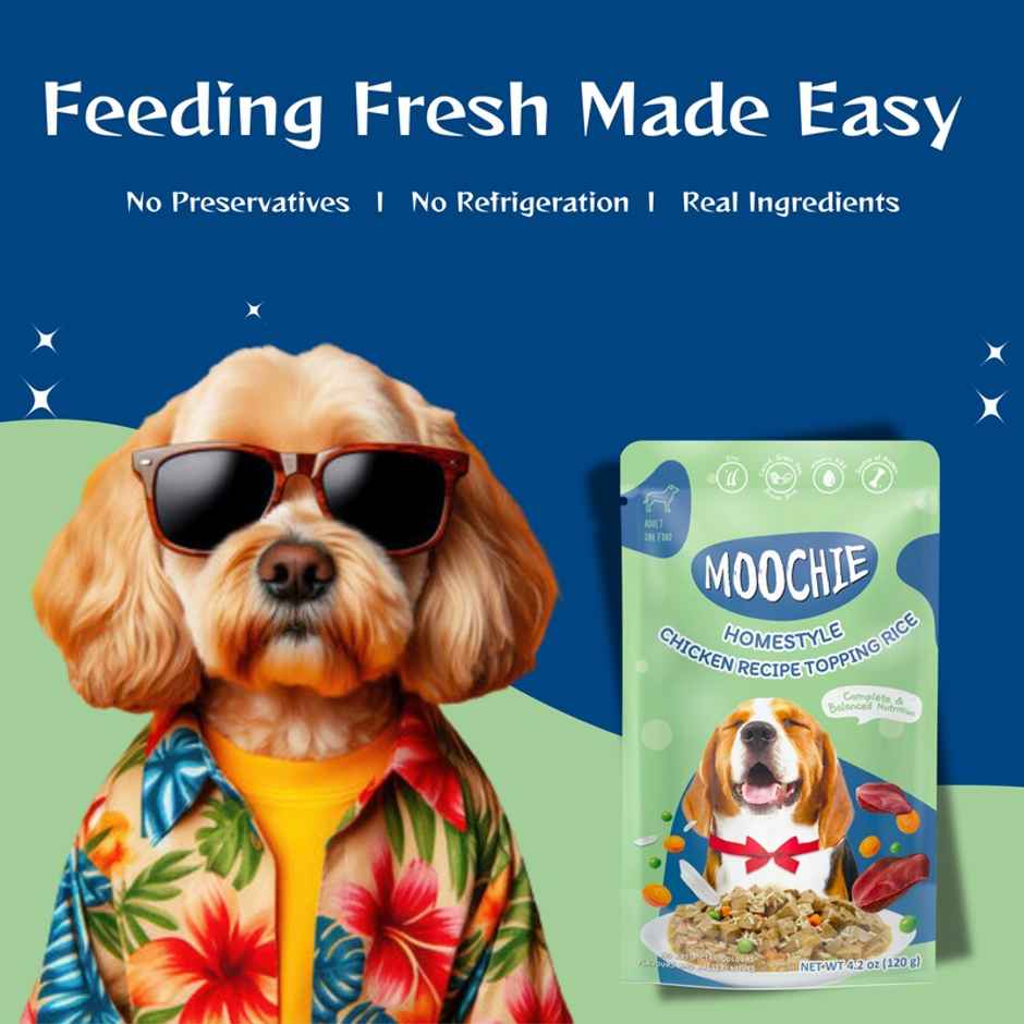 Moochie Dog Wet Gravy FOOD Homestyle With Chicken And Rice