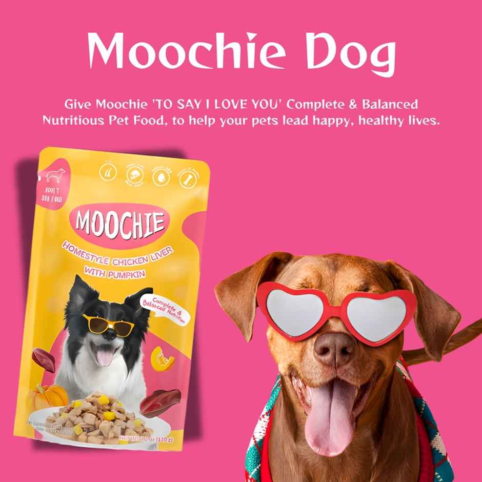 Moochie Dog Wet Gravy FOOD Homestyle With Chicken Liver And Pumpkin
