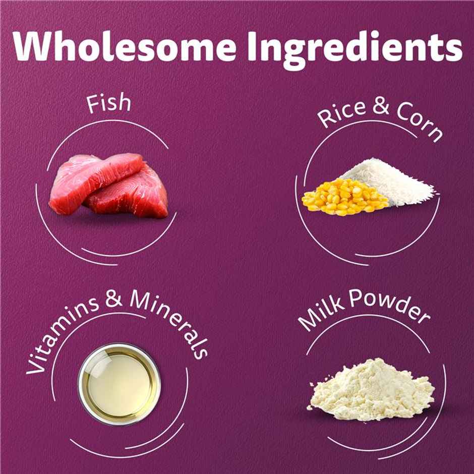 Whiskas Kitten Ocean Fish Flavour Dry Cat Food