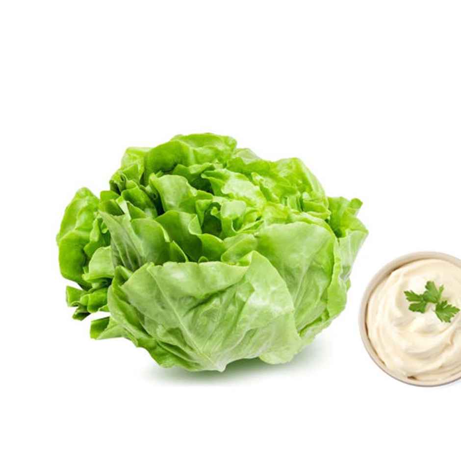 Bounce Hydroponic Butterhead With Salad Dressing