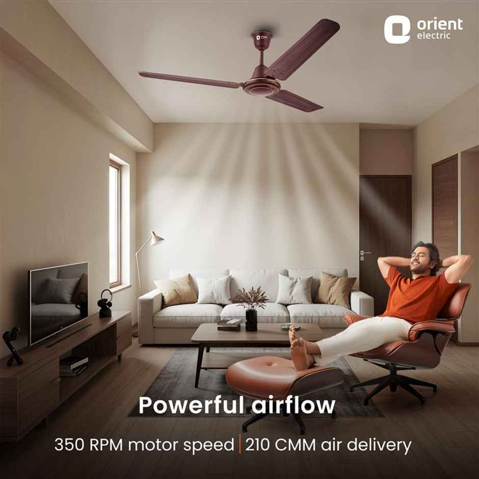 Orient Electric Apex-FX Ceiling Fan,1200mm,BEE Star Rated,Energy Efficient Fan,Rust Resistant,Brown