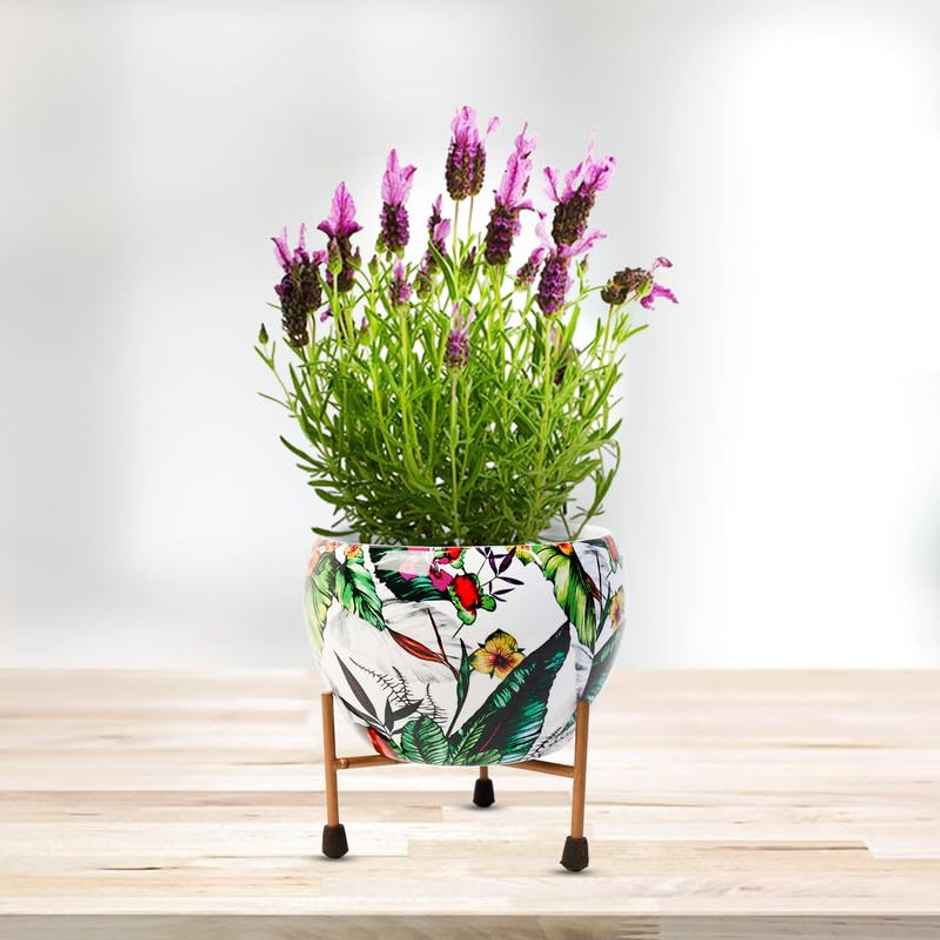 Peng Essentials Reva Home Dcor Vase With Stand I Desktop/Bedroom Corner Table/Home Decor Centepiec