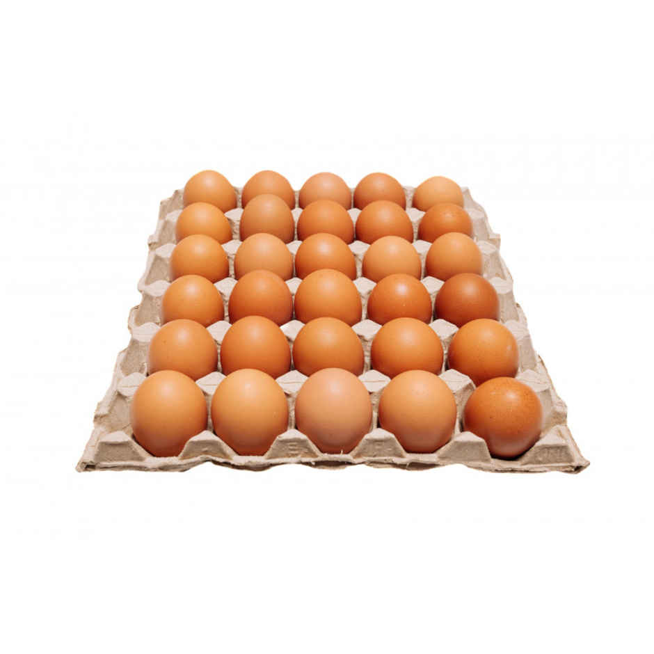 Fresh Brown Eggs