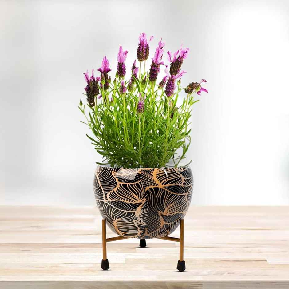 Peng Essentials Reva Home Decor Vase With Stand Desktop/Bedroom Corner Table/Home Decor Centepiece