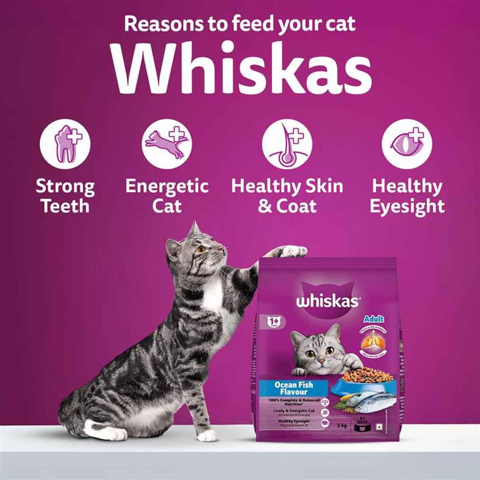 Whiskas Adult Ocean Fish Flavour Dry Cat Food Combo 